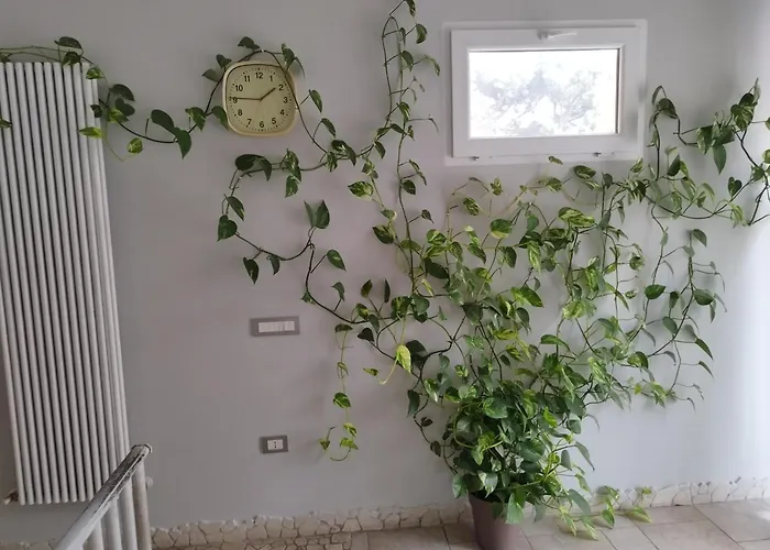 Fronte Mare Con Parcheggio Privato Apartamento *