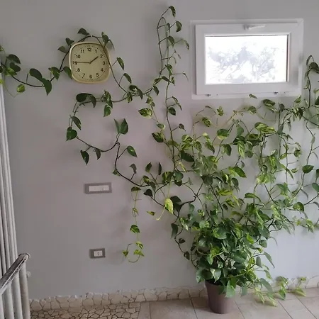 Fronte Mare Con Parcheggio Privato 아파트 *